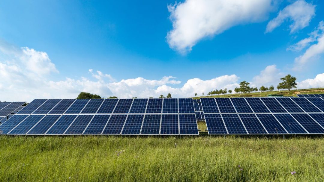 Painéis solares em campo